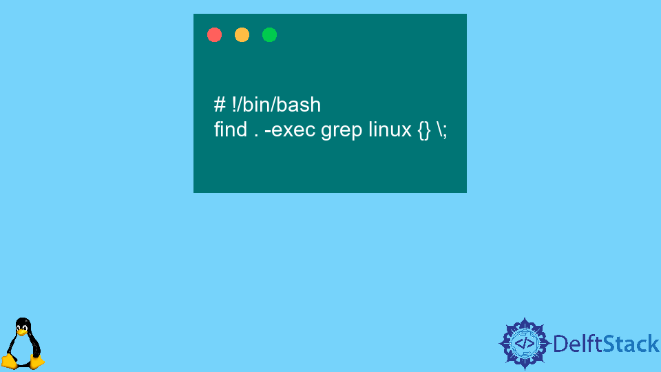 run-find-exec-command-in-bash-delft-stack